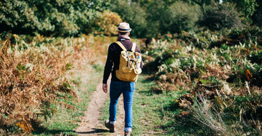 Afvallen met een Wandelchallenge